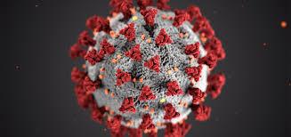 El coronavirus es clasista. El desigual impacto en los distritos de Madrid