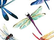 Libélulas Feng Shui