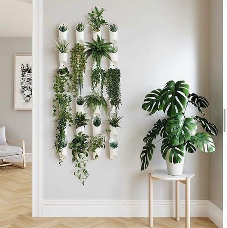 Ideas decoración con plantas