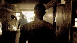 Play-Doc 2020: La maestría en los documentales Play-Doc 2020: La maestría en los documentales