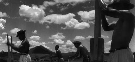 Play-Doc 2020: La maestría en los documentales Play-Doc 2020: La maestría en los documentales