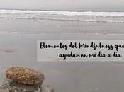 topic: Elementos Mindfulness ayudan