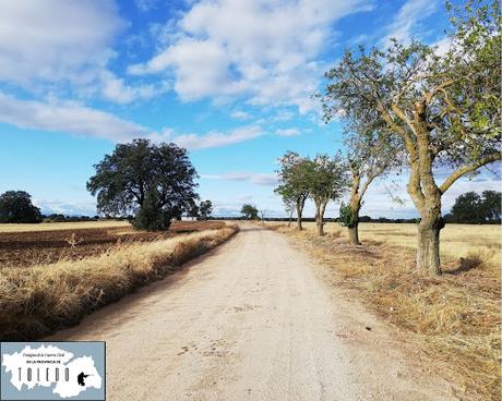 Pistas militares de la Guerra Civil (IV): El Membrillo