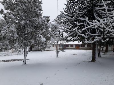 La historia de la escuela rural de El Manso, a solo 17 kilómetros de Chile