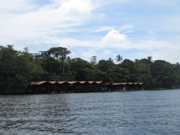 COSTA RICA SALVAJE ¡PURA VIDA! Tercera Parte