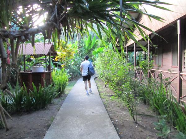 COSTA RICA SALVAJE ¡PURA VIDA! Tercera Parte