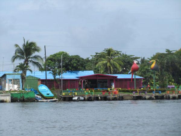 COSTA RICA SALVAJE ¡PURA VIDA! Tercera Parte