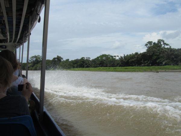 COSTA RICA SALVAJE ¡PURA VIDA! Tercera Parte