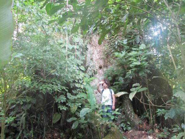 COSTA RICA SALVAJE ¡PURA VIDA! Tercera Parte