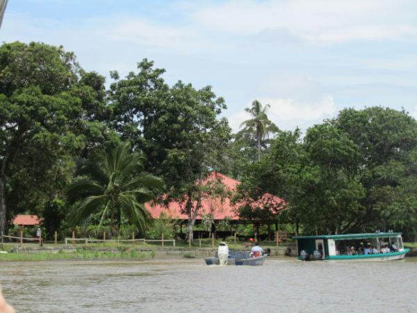 COSTA RICA SALVAJE ¡PURA VIDA! Tercera Parte