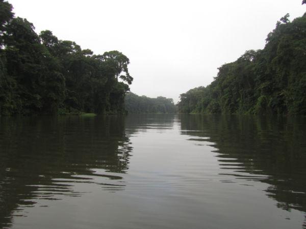 COSTA RICA SALVAJE ¡PURA VIDA! Tercera Parte