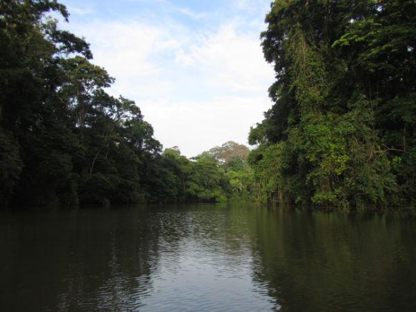 COSTA RICA SALVAJE ¡PURA VIDA! Tercera Parte