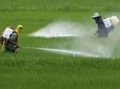 embarazadas expuestas humo carbón pesticidas pueden tener bebés defectos congénitos