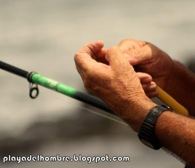 PREGUNTA DEL MIERCOLES PREGUNTA DEL MIERCOLES