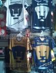 Pumas11last