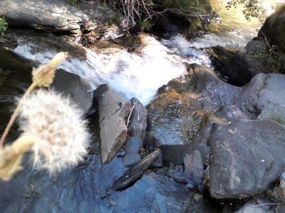 sendero gr140, arroyo sierra nevada