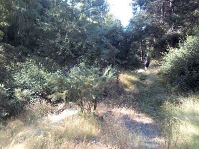 sendero gr140, puerto de la ragua