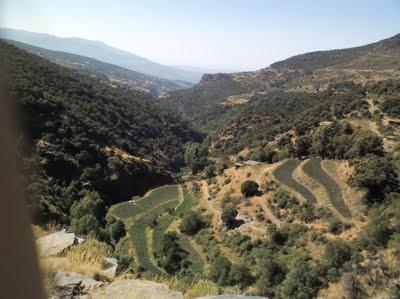 sendero gr140, balcones cultivo