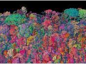Biodiversidad