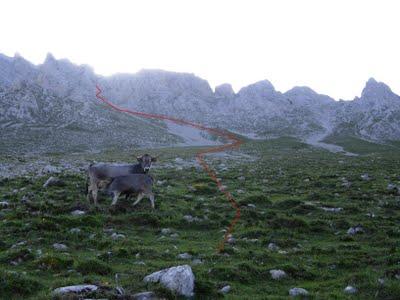 pico cortés y prao cortés