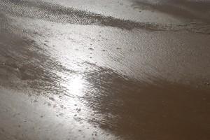 Mar del Norte (Donostia, marzo 2009) SUEÑO DE UNA NOCHE DE VERANO…