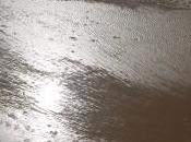 Sueño noche verano…