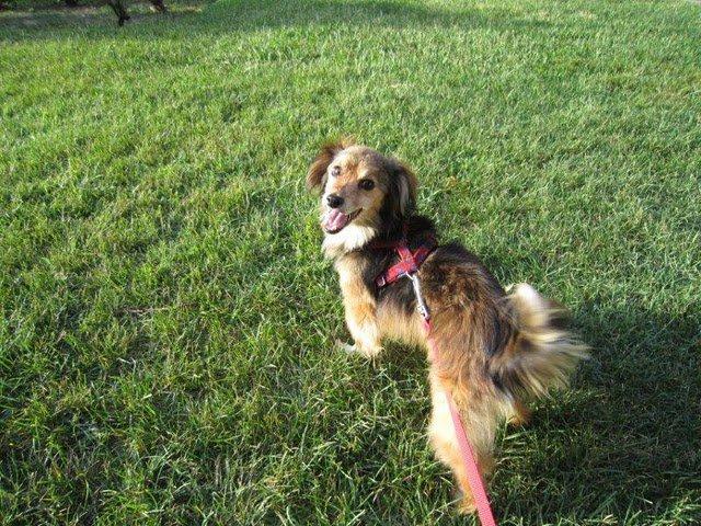 Novedades de Orion :)