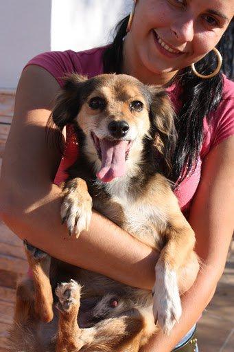 Novedades de Orion :)