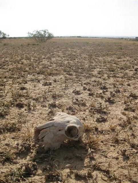 The Desert Chronicle - I Was In The Hell But I Survive...!! - Isostar Desert Marathon - La crónica del desierto - Estuve en el infierno pero conseguí sobrevivir...!!