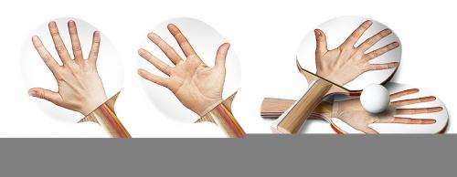 Tienes cara de helecho…