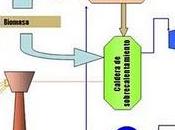 "unión" energía solar biomasa. proyecto "Hibisóleo"