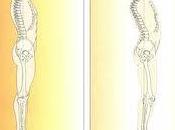 ¿Cuál postura correcta columna vertebral?