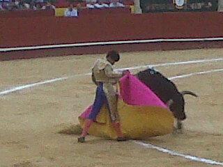 José Tomás o del Vértigo Taurino...