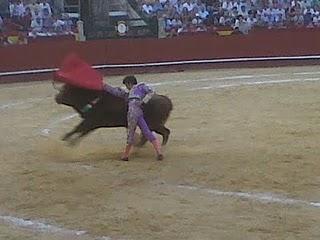José Tomás o del Vértigo Taurino...