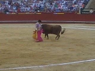 José Tomás o del Vértigo Taurino...