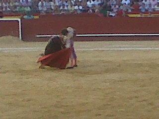 José Tomás o del Vértigo Taurino...