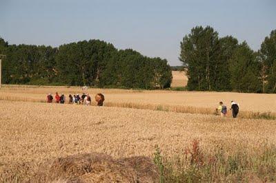 Marchas de “indignados” de toda España reconquistan Sol.