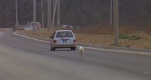 Esos encuentros con ellos (II)