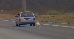 Esos encuentros con ellos (II)