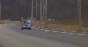 Esos encuentros con ellos (II)