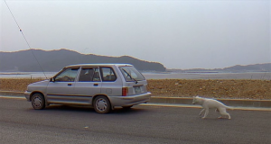 Esos encuentros con ellos (II)