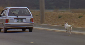 Esos encuentros con ellos (II)