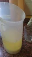Mayonesa de leche