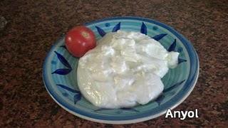 Mayonesa de leche
