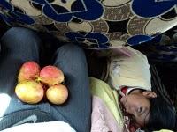 Internet, ciencia, espiritualidad y naturaleza, universos de exploración perceptible