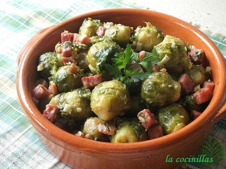 COLES DE BRUSELAS CON JAMON SERRANO