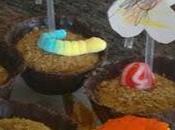 Tartaletas chocolate mousse limon. Macetitas