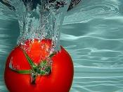 tomatal!!