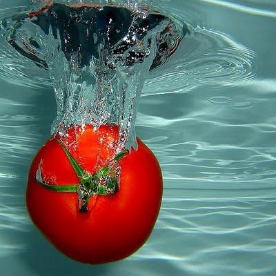 Se lió el tomatal!!