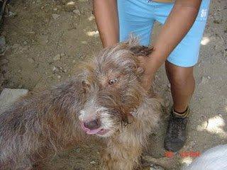 Toda la vida encerradas en un zulo sin luz y apenas comer (Barcelona)